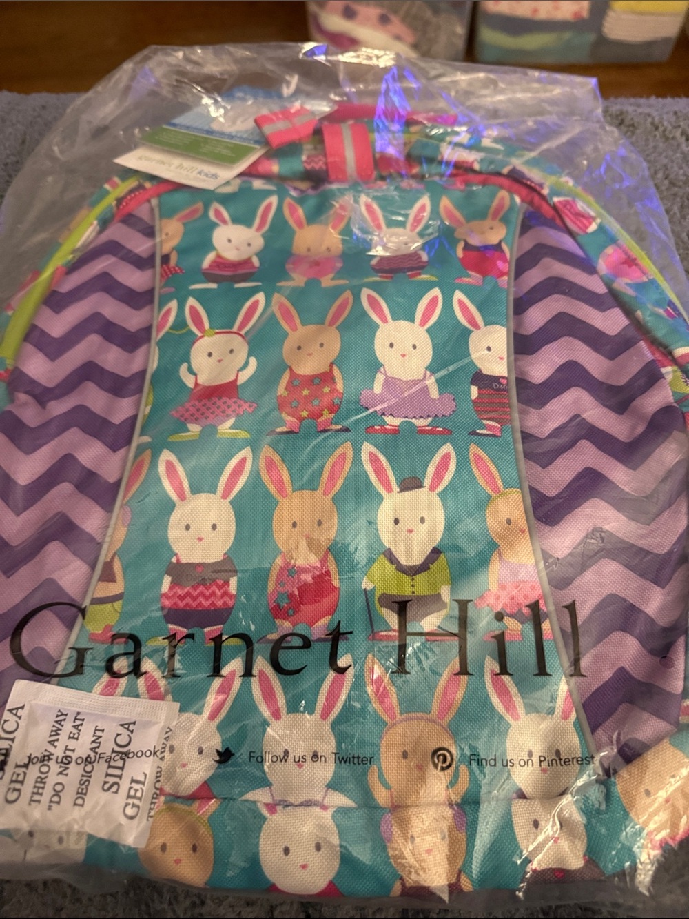 NEW Garnet Hill Junior Teal Bunny Print Backpack with Purple Chevron Sides